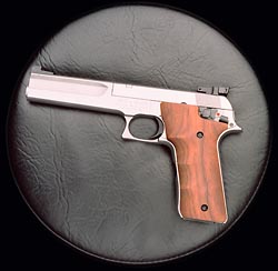 S&W2206