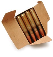 .308 surplus ammunition