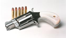 NAA Mini Mag with ammo